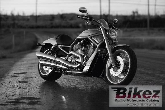 2010 Harley-Davidson VRSCAW V-Rod photo